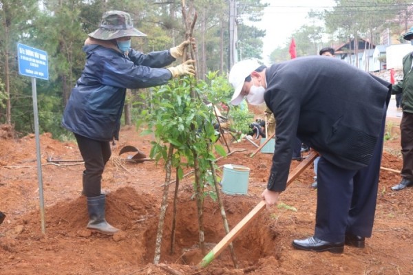 Đồng chí Bí thư Tỉnh ủy tham gia trồng cây tại đường Nguyễn Du, thị trấn Măng Đen dịp huyện Kon Plông ra quân đầu năm mới (ảnh: kontum.gov.vn)