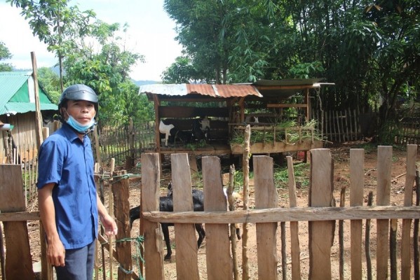 Anh Phan Văn Học giới thiệu mô hình chăn nuôi Dê cỏ của mình