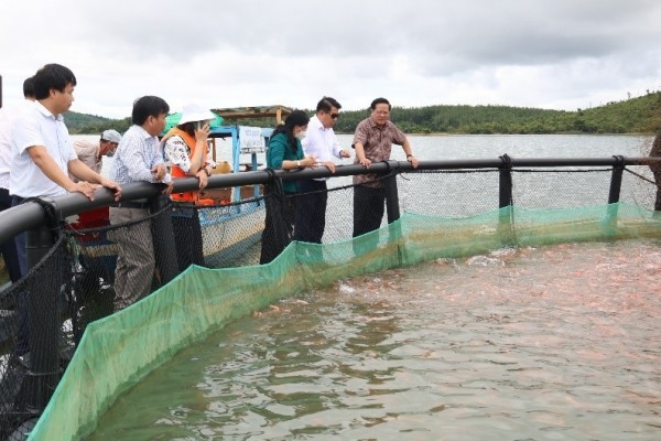 Chủ tịch UBND tỉnh Lê Ngọc Tuấn thăm mô hình nuôi cá của Công ty Cổ phần Đầu tư và Phát triển Duy Tân tại huyện Ia H’Drai (ảnh: kontum.gov.vn)