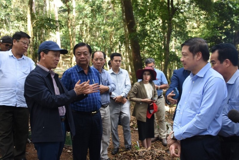 Bộ trưởng Bộ NN&PTNT Lê Minh Hoan và Bí thư Tỉnh ủy Dương Văn Trang thăm vườn sâm Ngọc Linh. (ảnh: baokontum.com.vn)